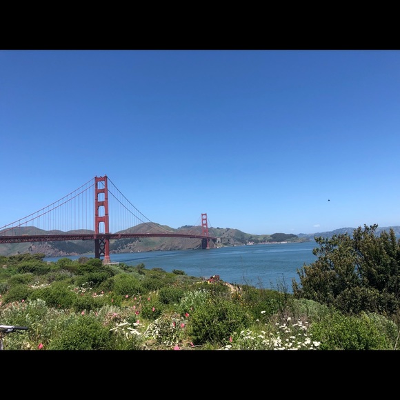 Meet your Posher, Kelly - Picture 1 of 1